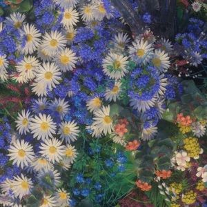 Meet your Posher, Yvette